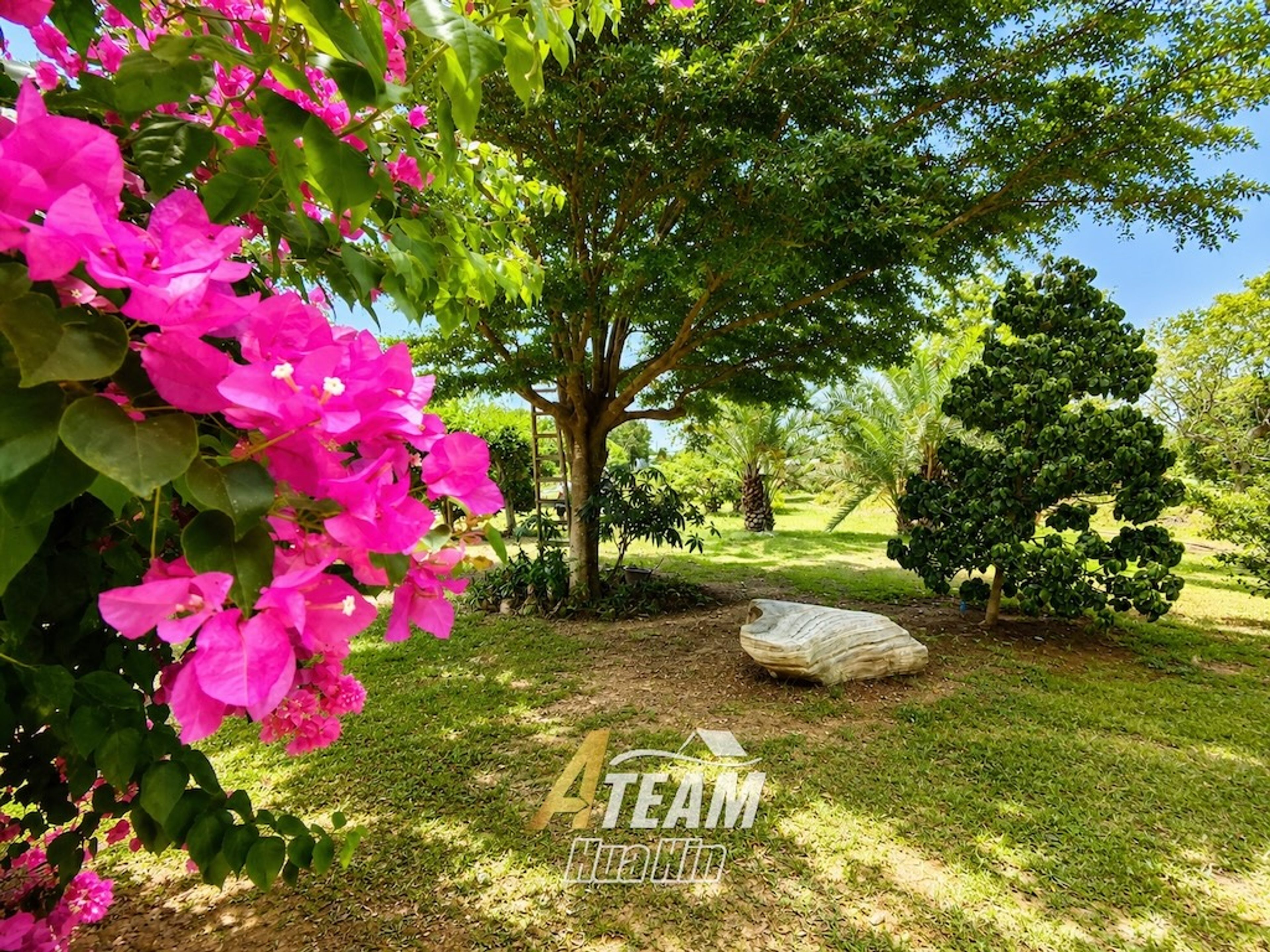 House / Villa For Sale - 0 - 3 Bedrooms - 2 Bathrooms - Price ฿25,000, thumbnail 22
