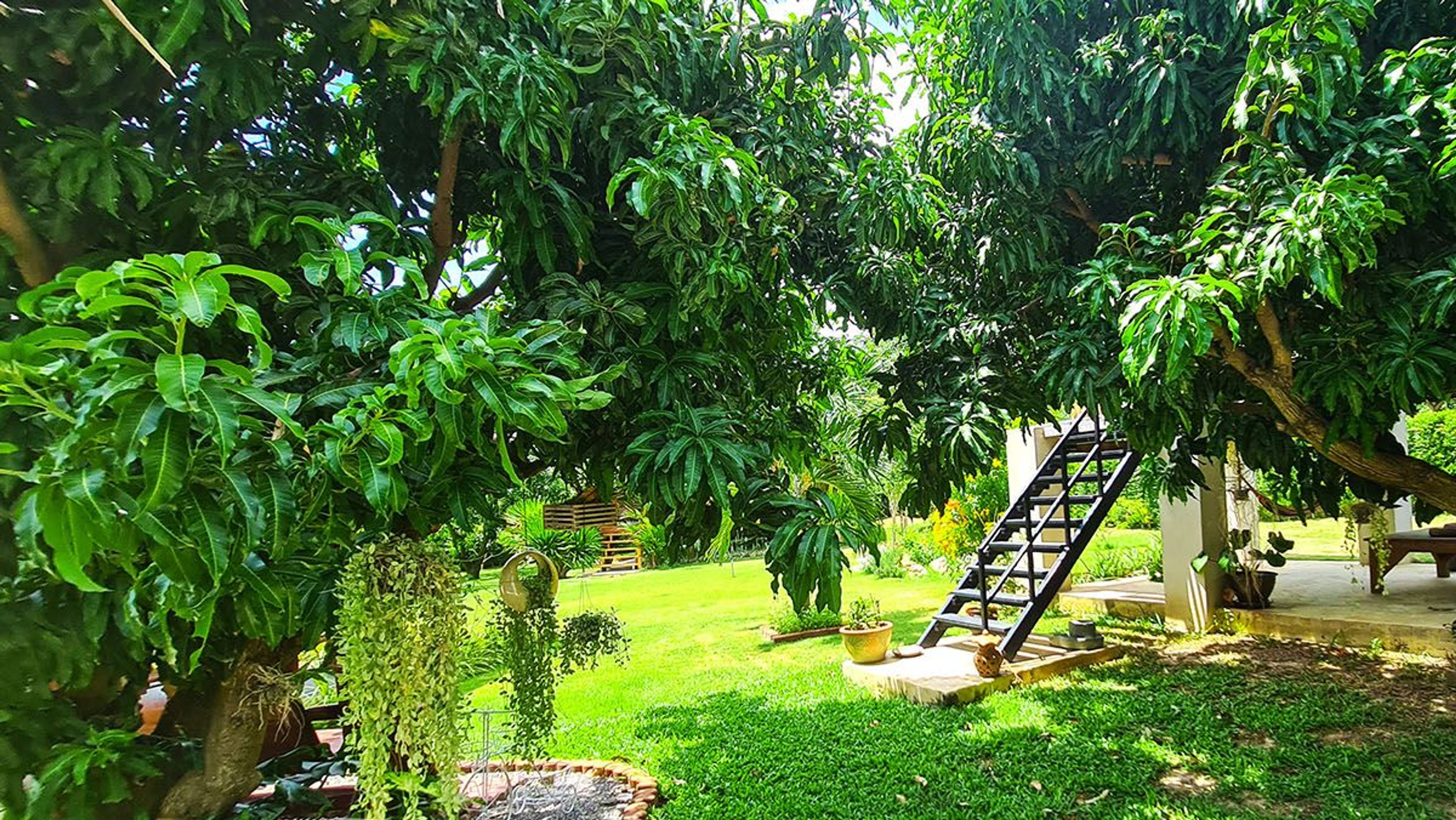 Mango Hills one of a kind resort property in stunning scenic location thumbnail 19