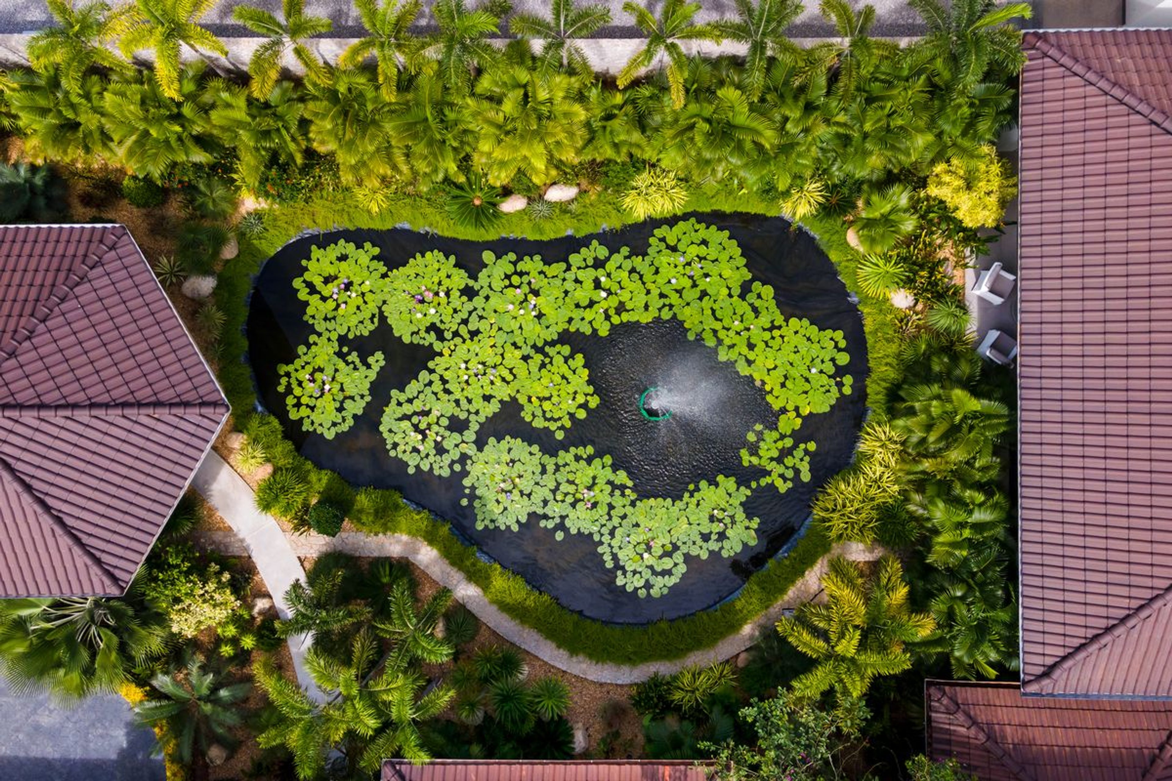 Elegant 6 Bedroom Mansion on a generous Landplot thumbnail 59