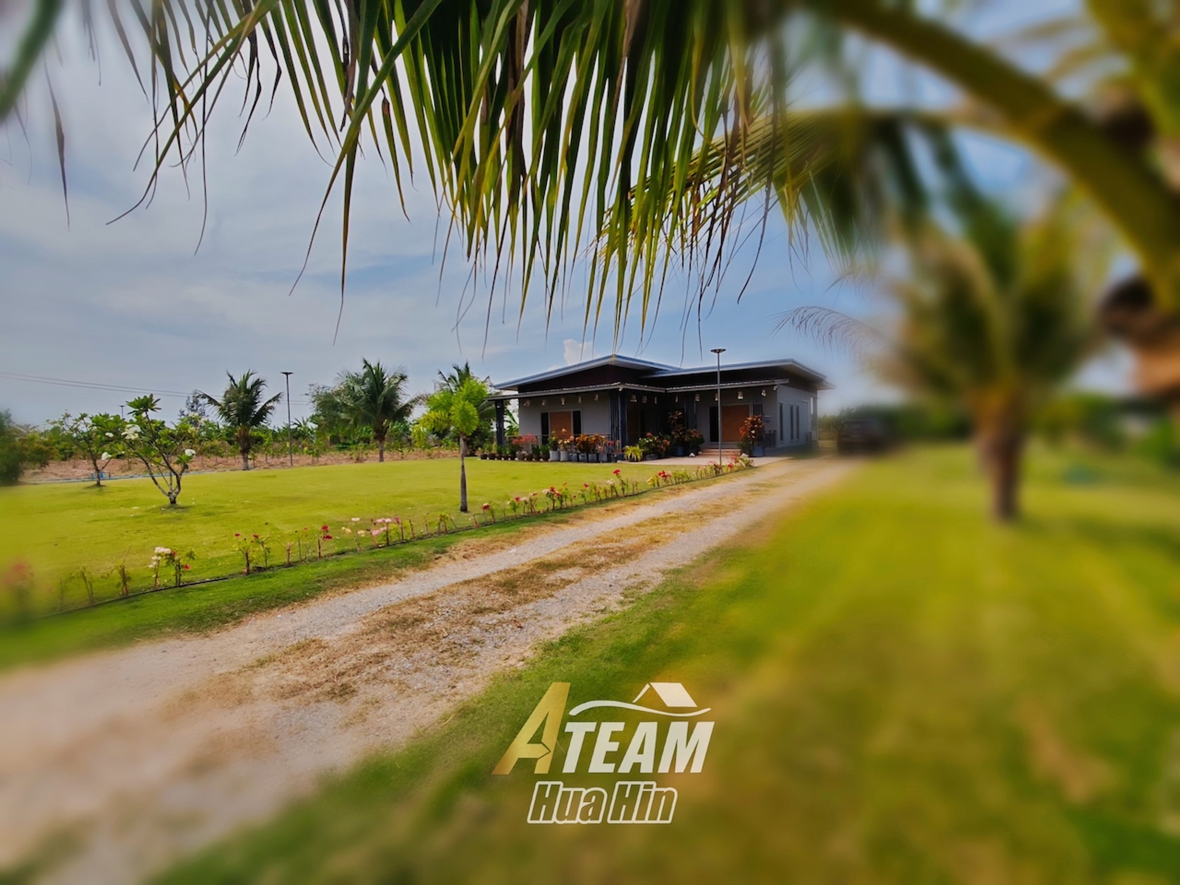 Peaceful Countryside Standalone House on 5 Rai Land in Sam Phraya  thumbnail 22