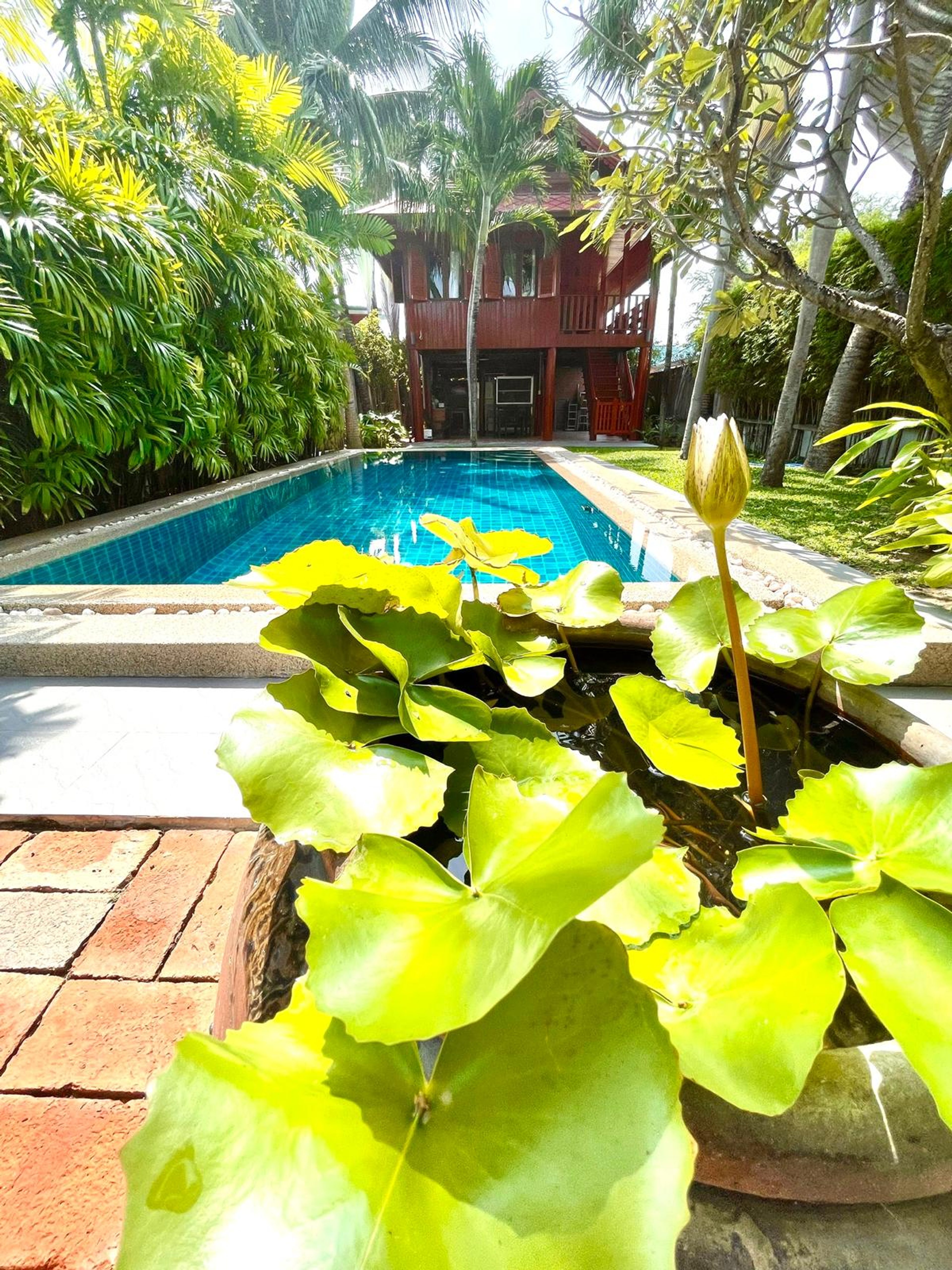 Traditional Thai 2 Bed 2 Bath Teak Wood Pool Villa  thumbnail 21