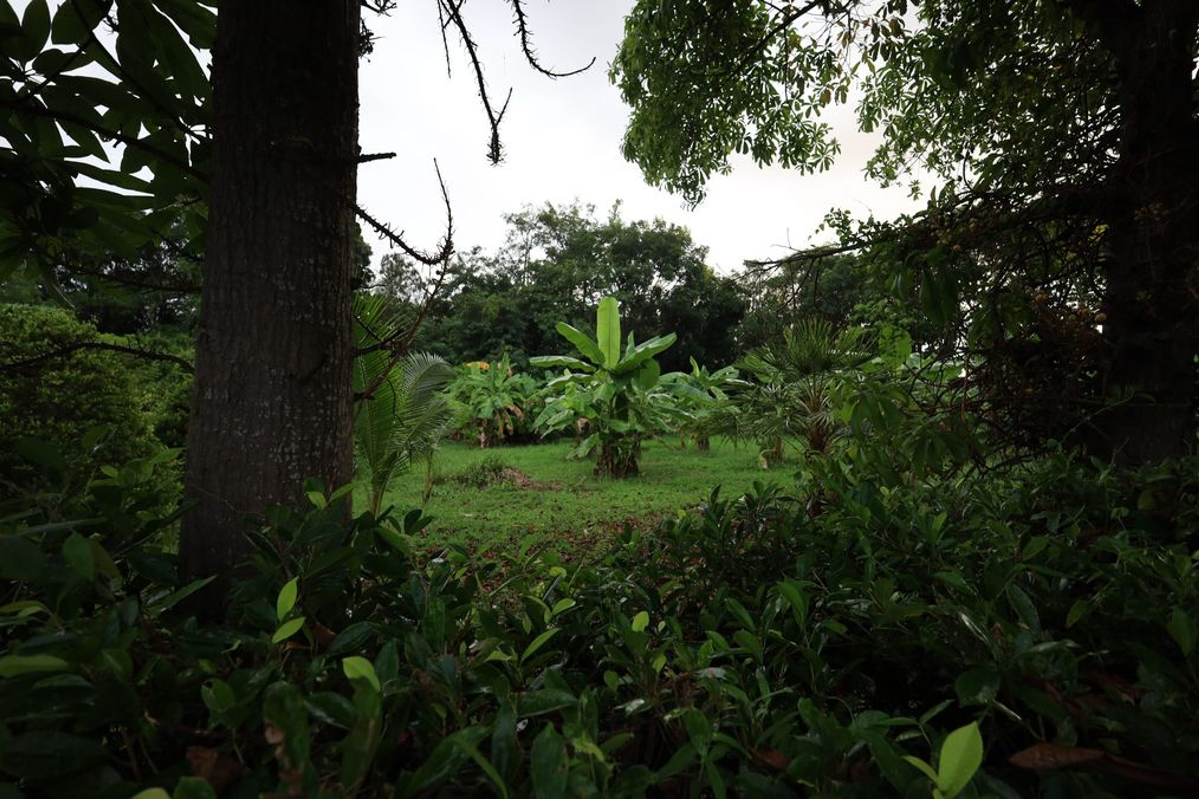 ? For Sale: 1,360 Sqm Land in Black Mountain, Hua Hin – 3.85 Million T thumbnail 2