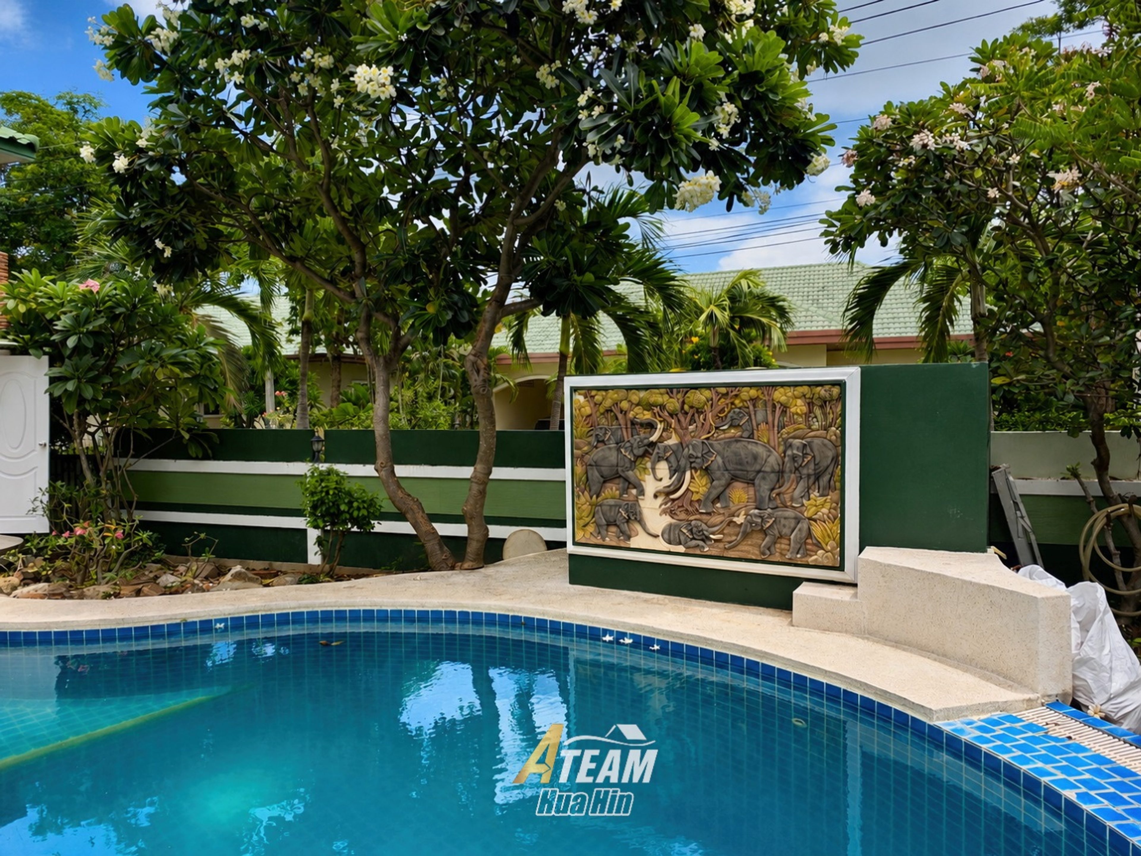 Unique Renovation Opportunity at Stuart Park with Mountain Views thumbnail 20