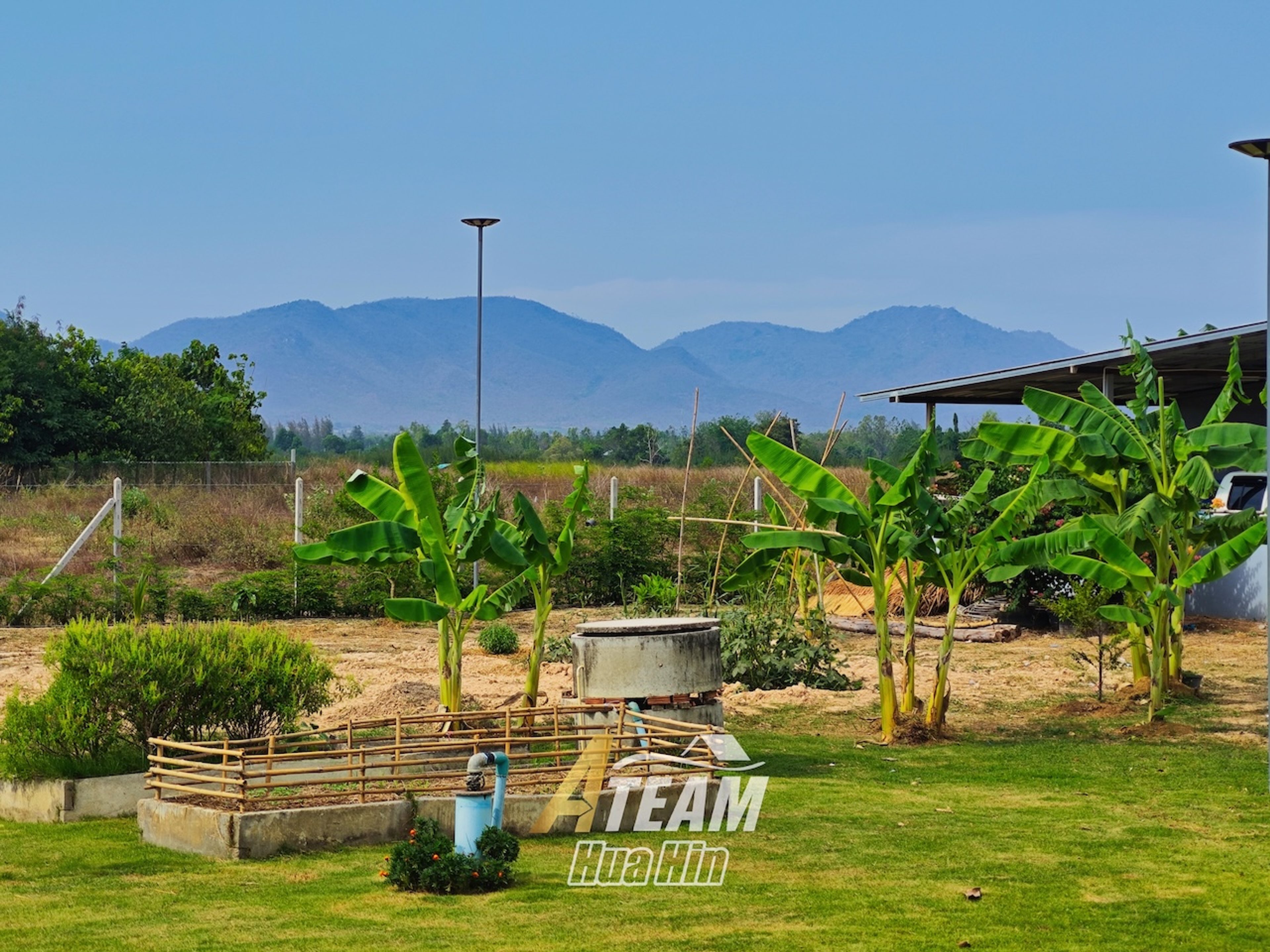Peaceful Countryside Standalone House on 5 Rai Land in Sam Phraya  thumbnail 16