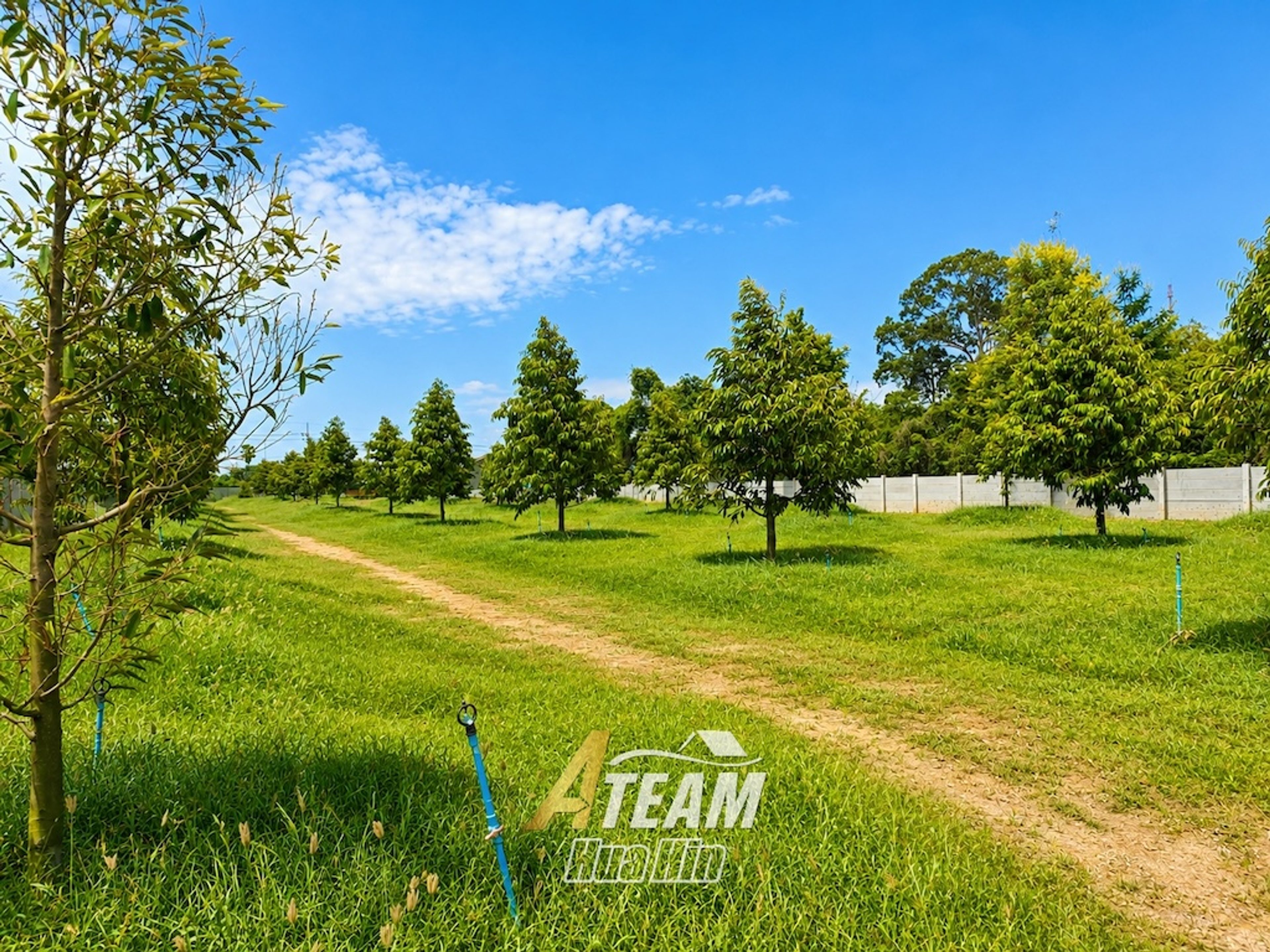 House / Villa For Sale - 0 - 3 Bedrooms - 2 Bathrooms - Price ฿25,000, thumbnail 25