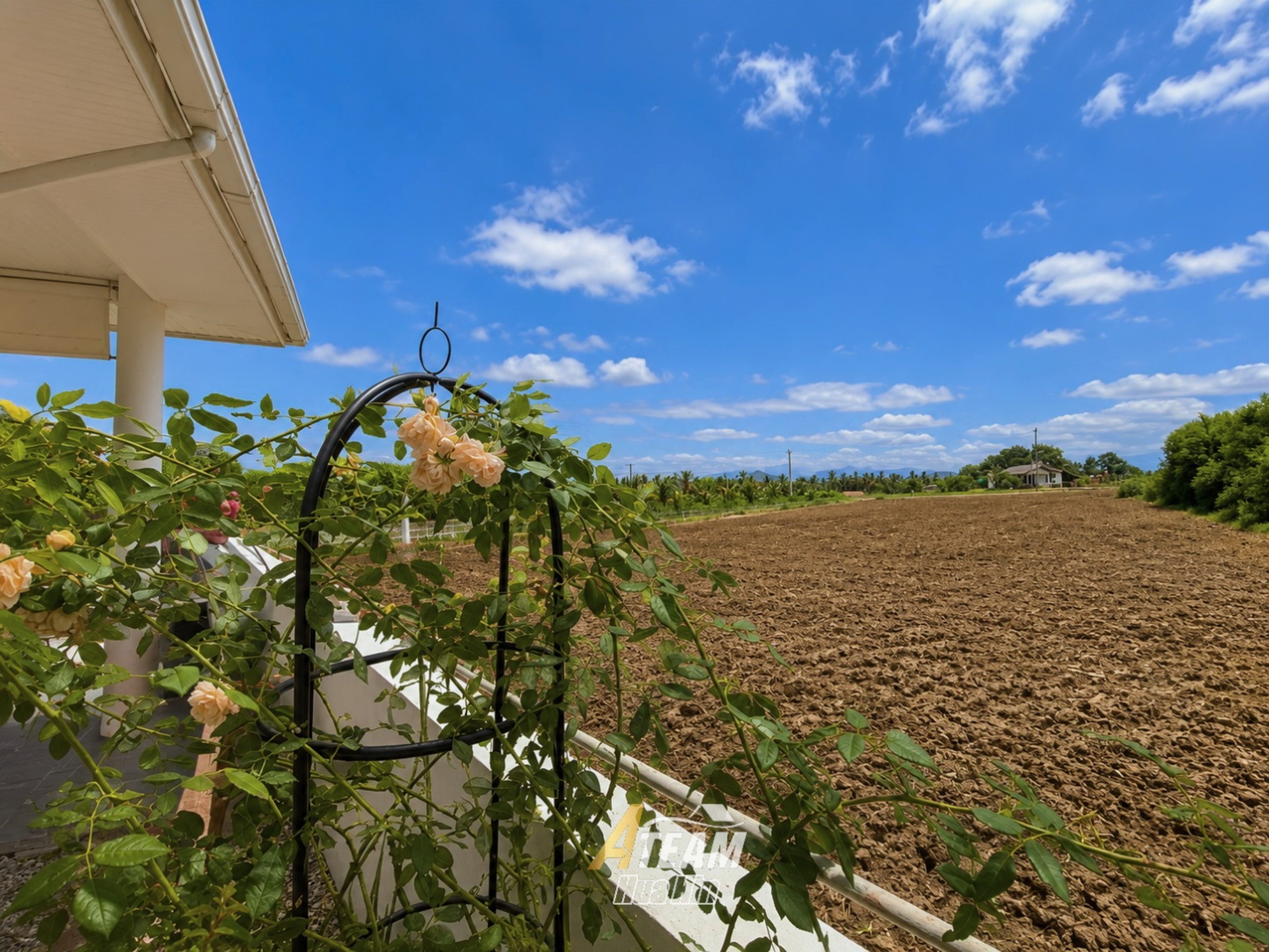 Stylish 2-Bedroom Pool Villa with Pineapple Field Views – Wang Pong, Pranburi thumbnail 5