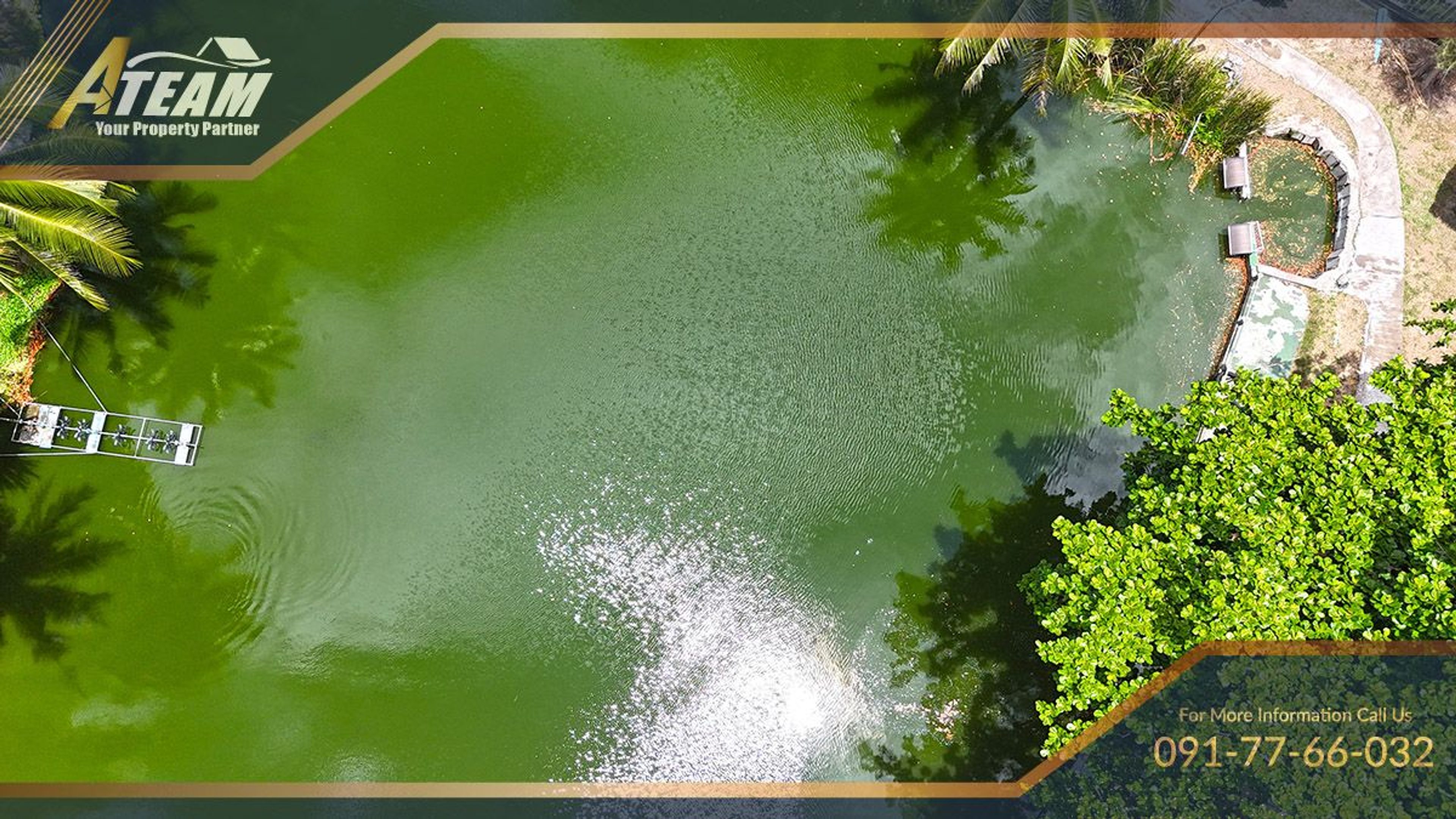 Business for Sale: Hua Hin Fishing Lodge thumbnail 41