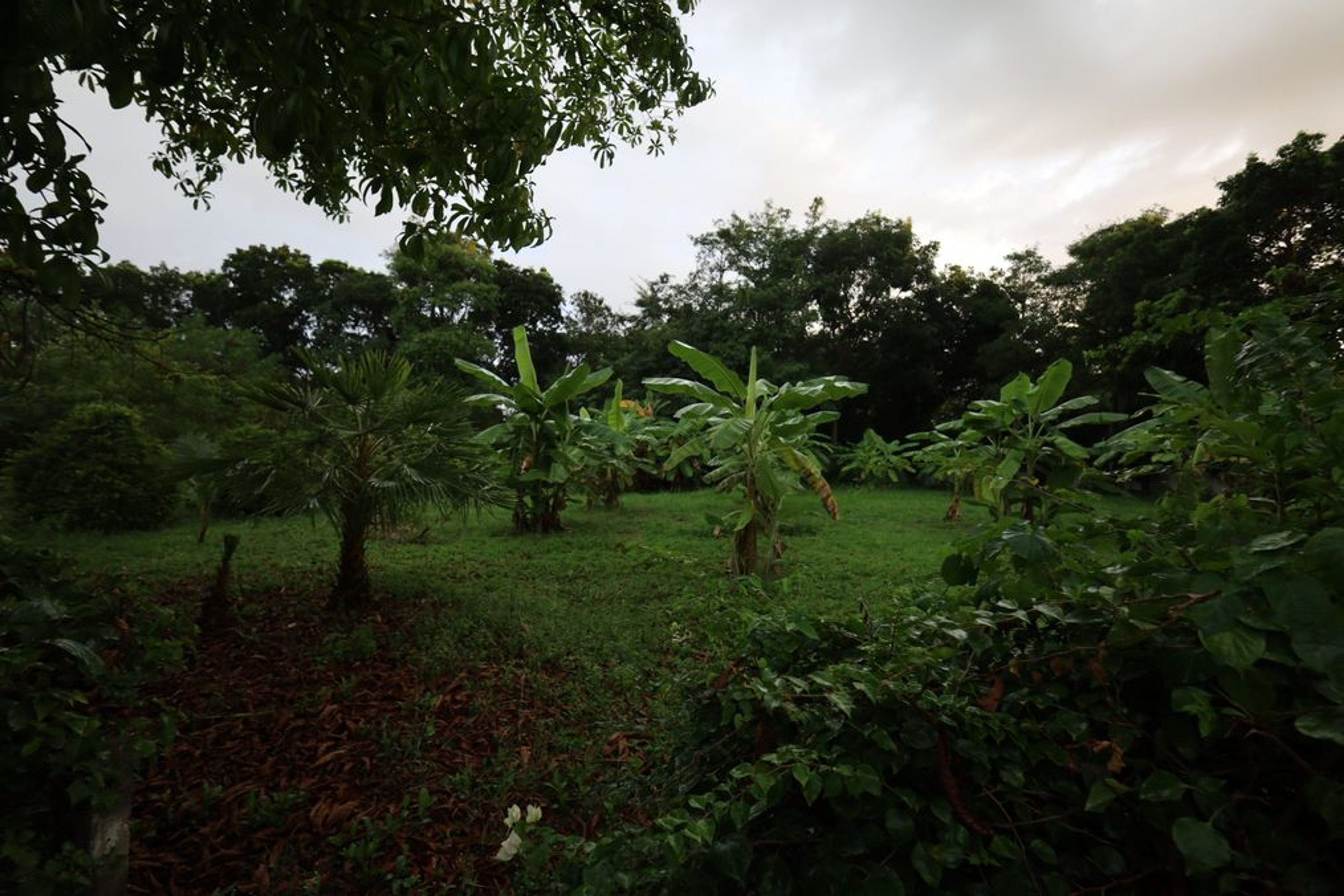 ? For Sale: 1,360 Sqm Land in Black Mountain, Hua Hin – 3.85 Million T thumbnail 5