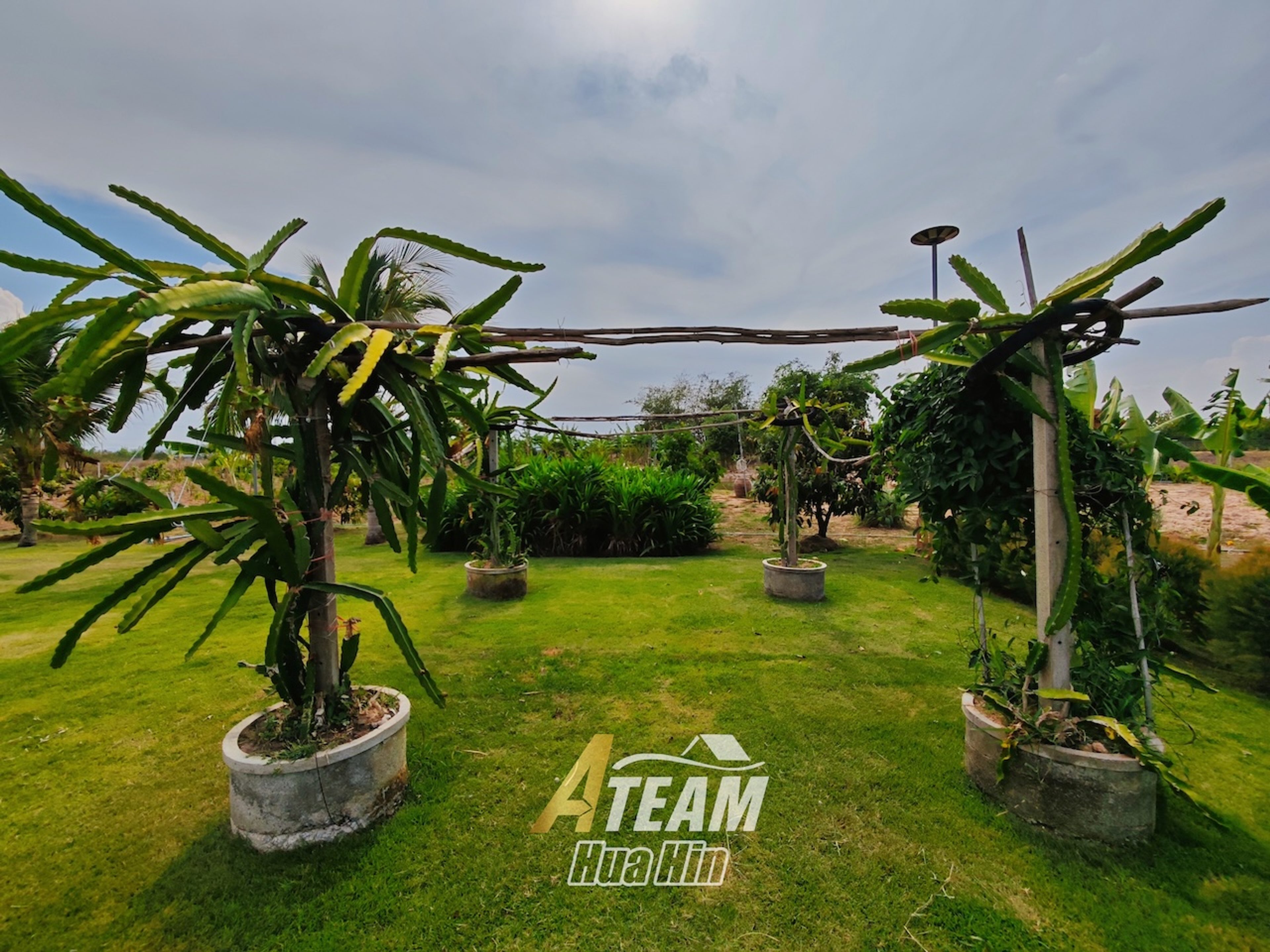 Peaceful Countryside Standalone House on 5 Rai Land in Sam Phraya  thumbnail 19