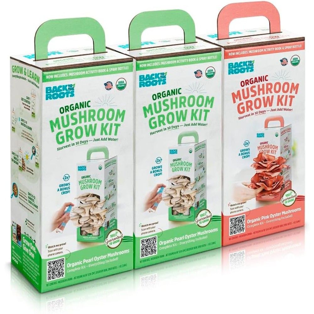 3-Pack Back to the Roots Organic Mushroom Grow Kit