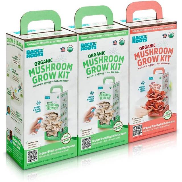 3-Pack Back to the Roots Organic Mushroom Grow Kit