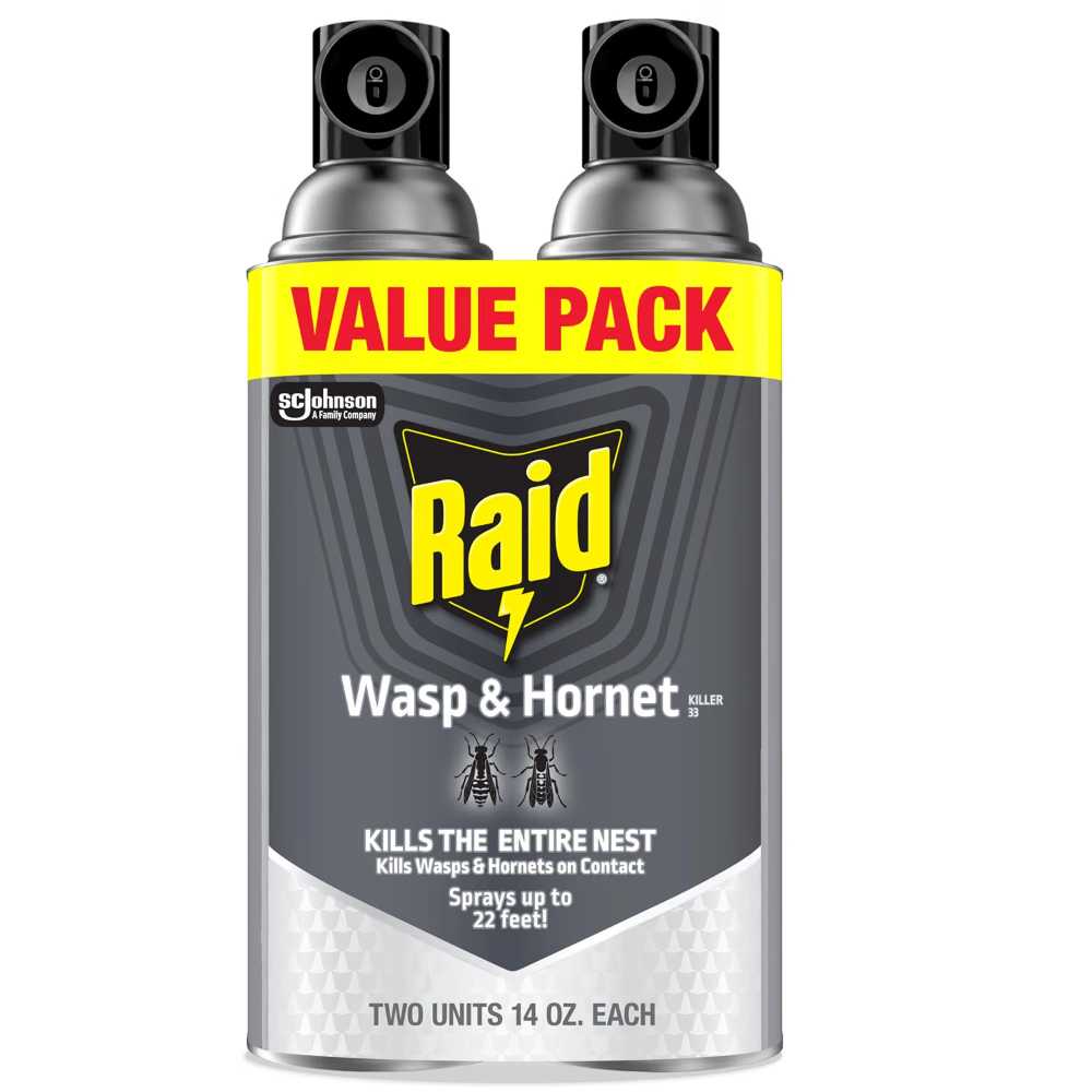 2-Pack Raid Wasp & Hornet Killer Spray, 14 oz.