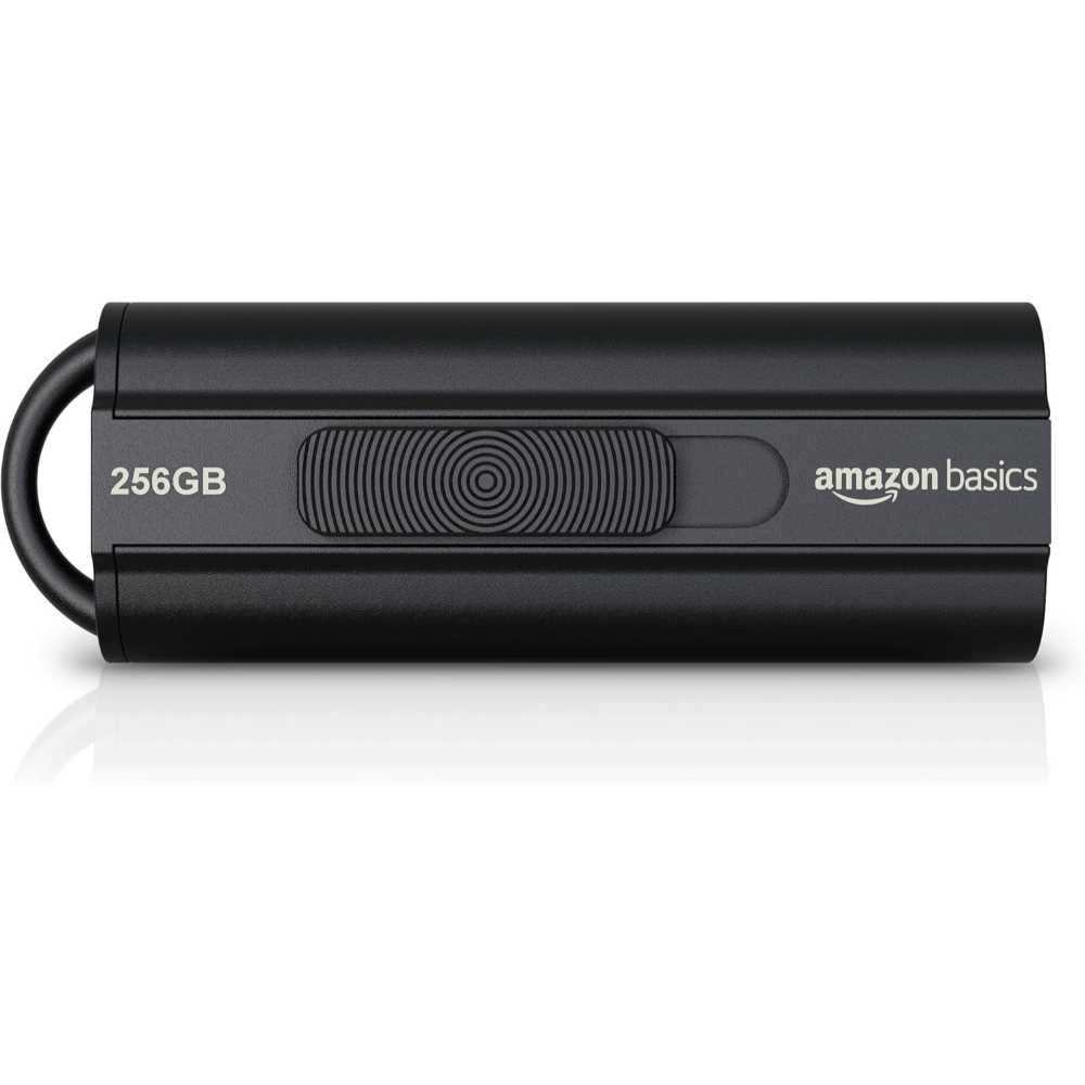 256GB Amazon Basics Ultra-Fast USB 3.1 Flash Drive