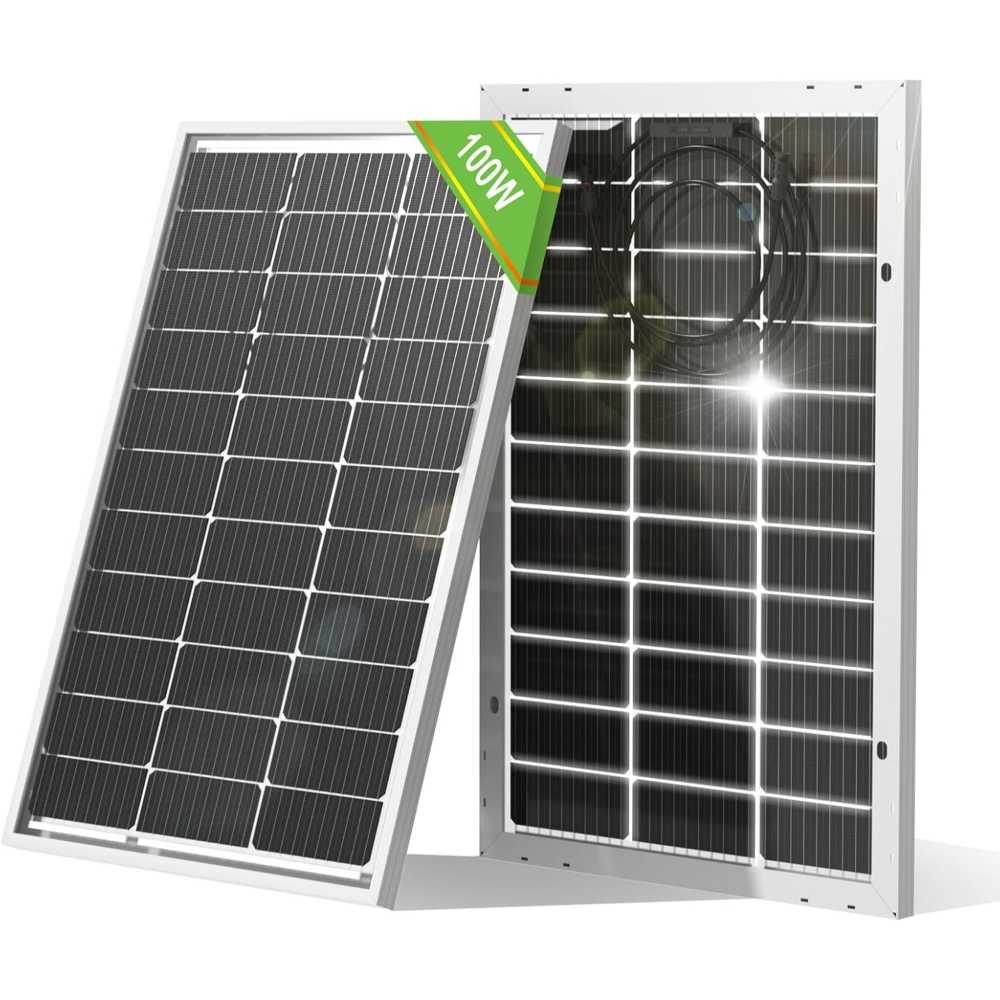 Eco-Worthy 100W Bifacial Monocrystalline Solar Panel