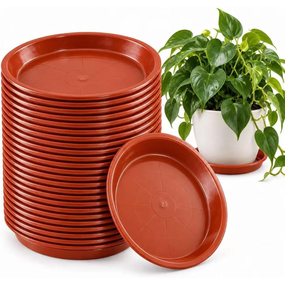 30-Pack Tulpeed 6" Plant Saucer