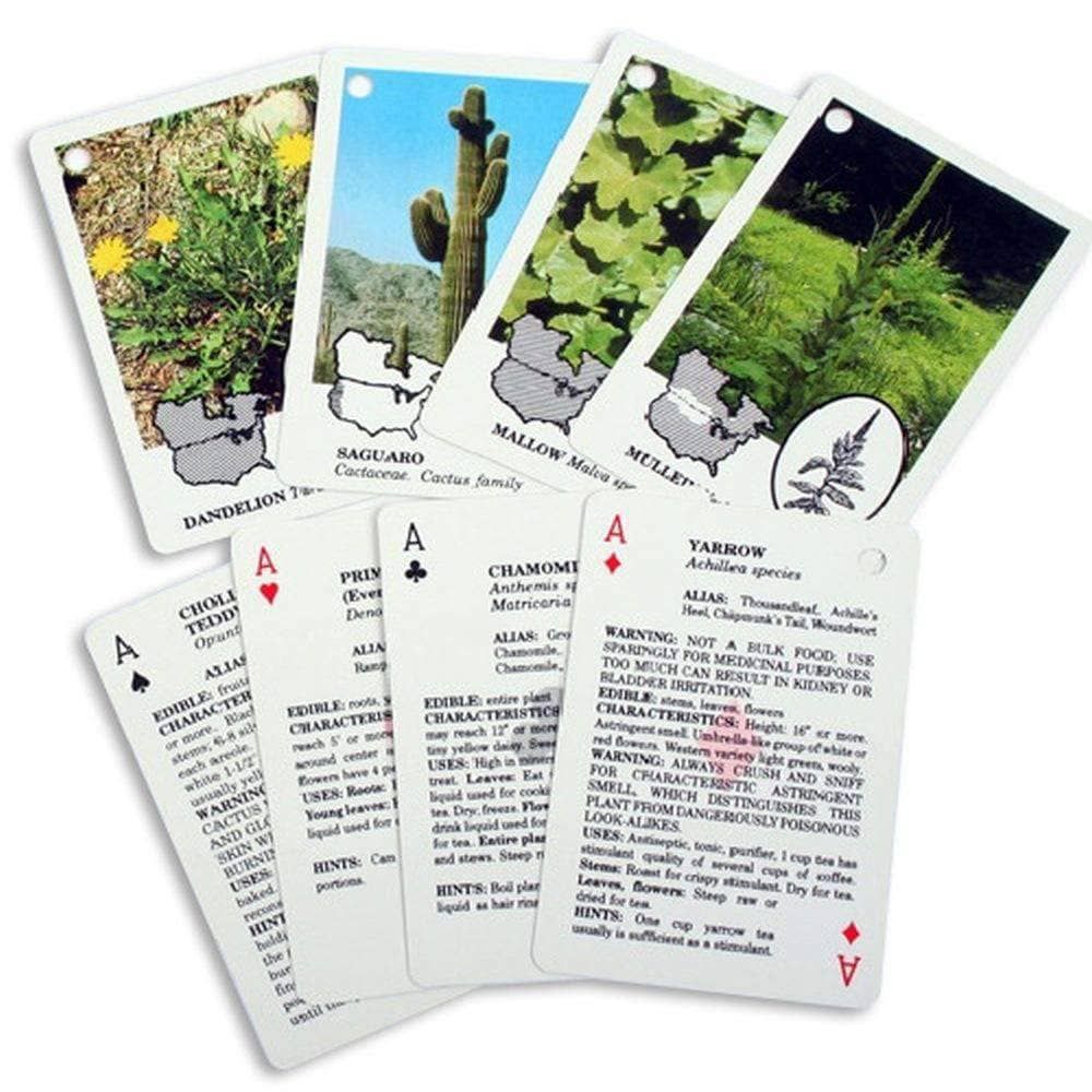 Today Only: Edible Wild Foods Playing Cards