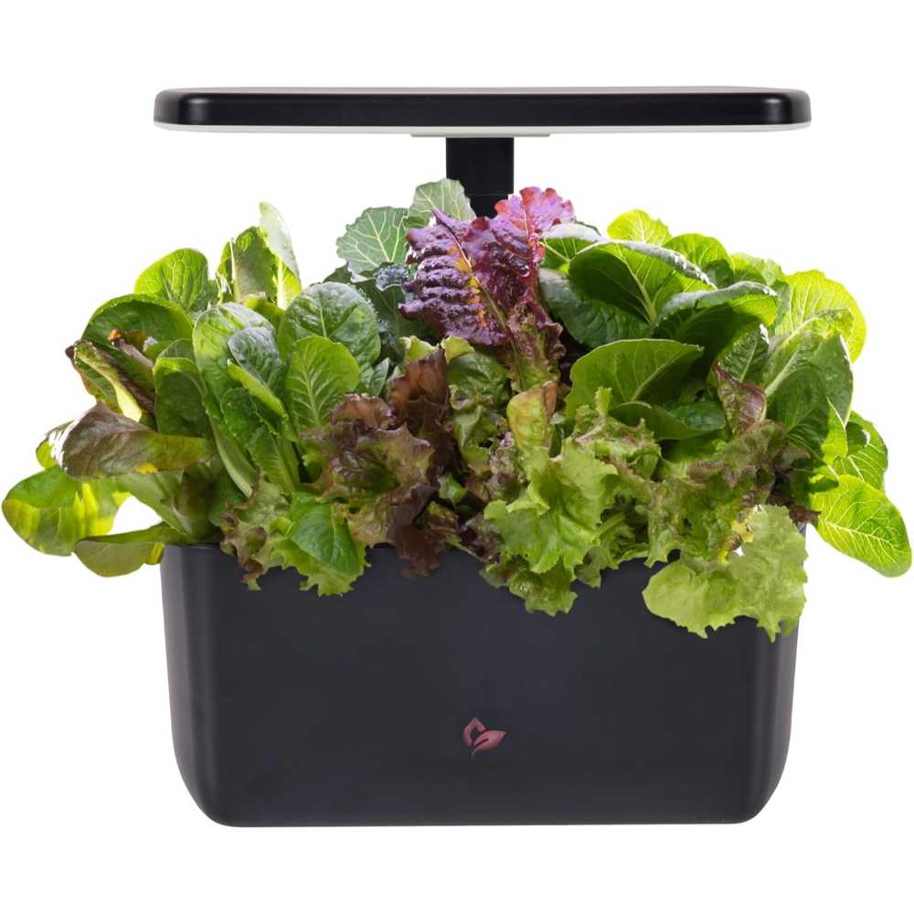 AeroGarden Harvest 2.0 6-Pod Hydroponic Garden