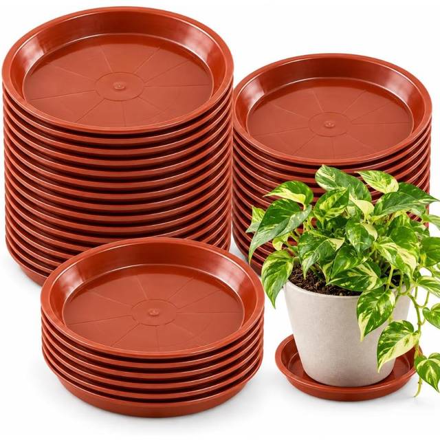 30-Pack Tulpeed 8" Plant Saucer