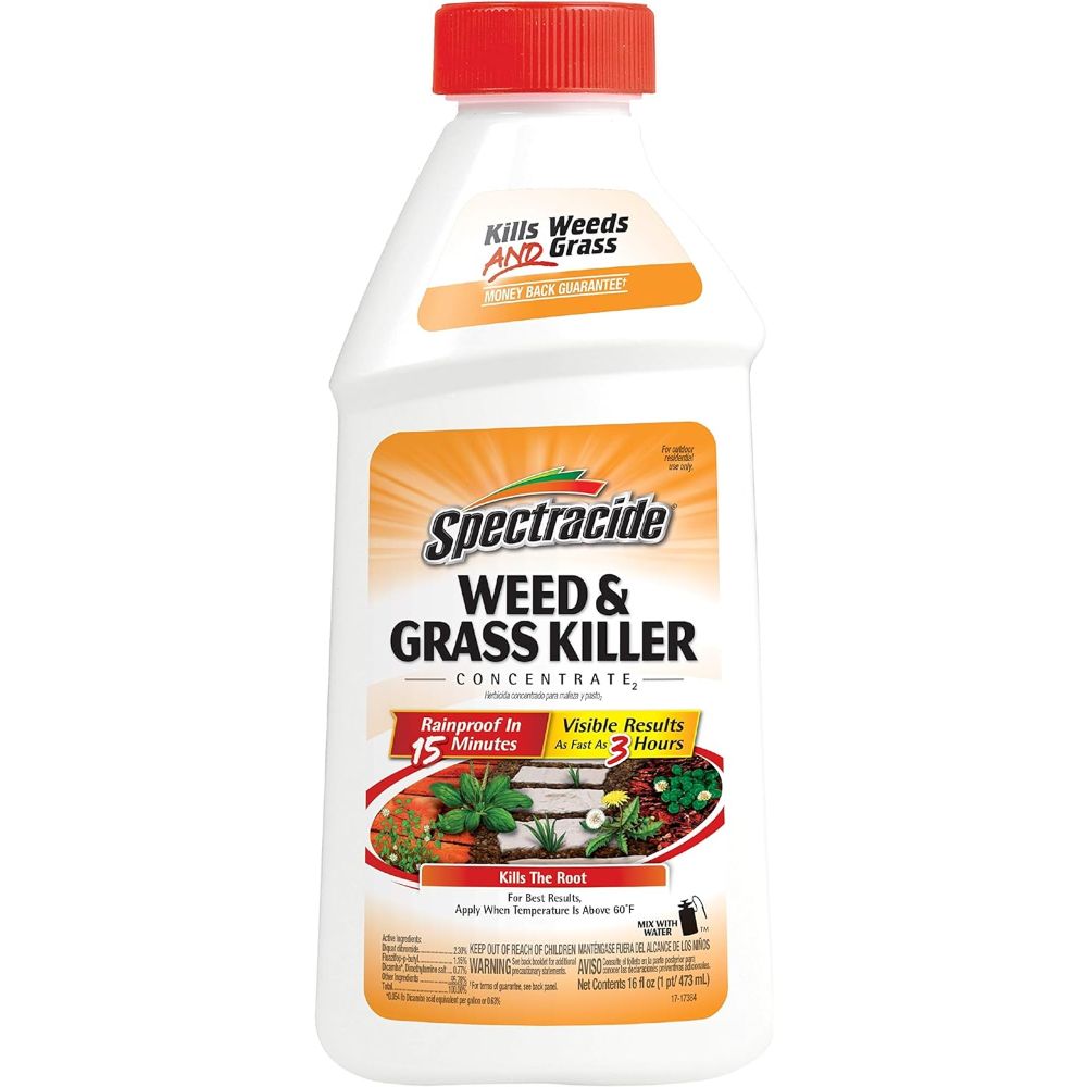 Spectracide Weed And Grass Killer Concentrate, 16 oz.