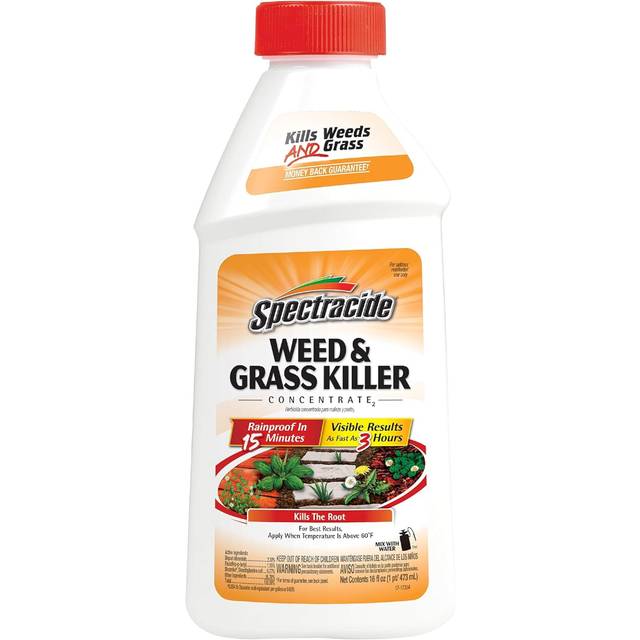 Spectracide Weed And Grass Killer Concentrate, 16 oz.