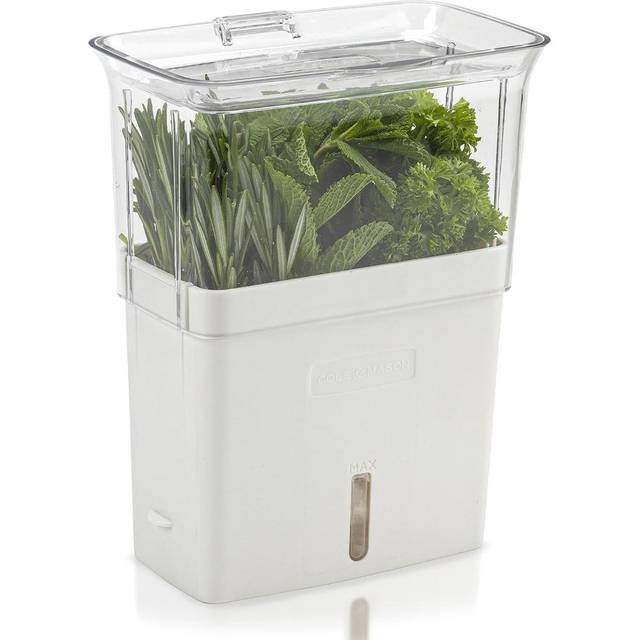Cole & Mason Tealby Herb Pot