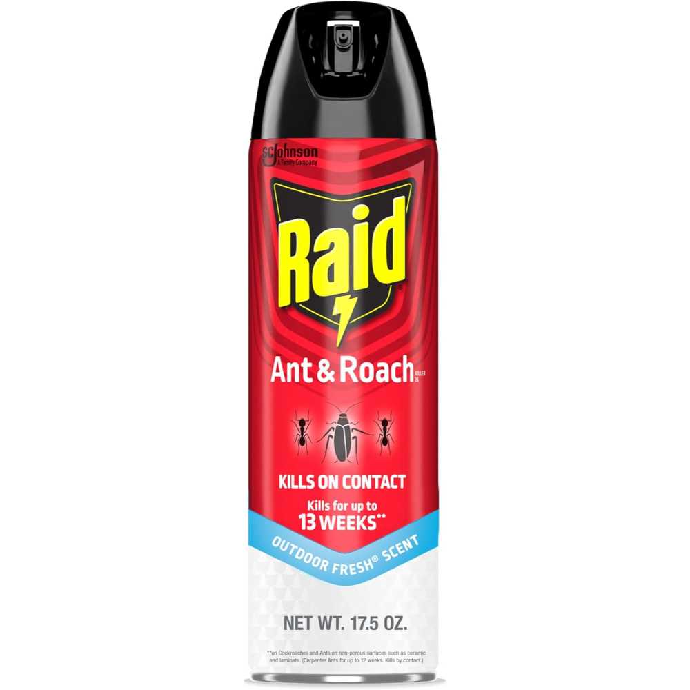 Raid Ant & Roach Killer Spray, 17.5 oz