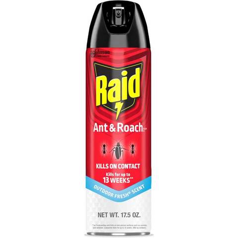 Raid Ant & Roach Killer Spray, 17.5 oz