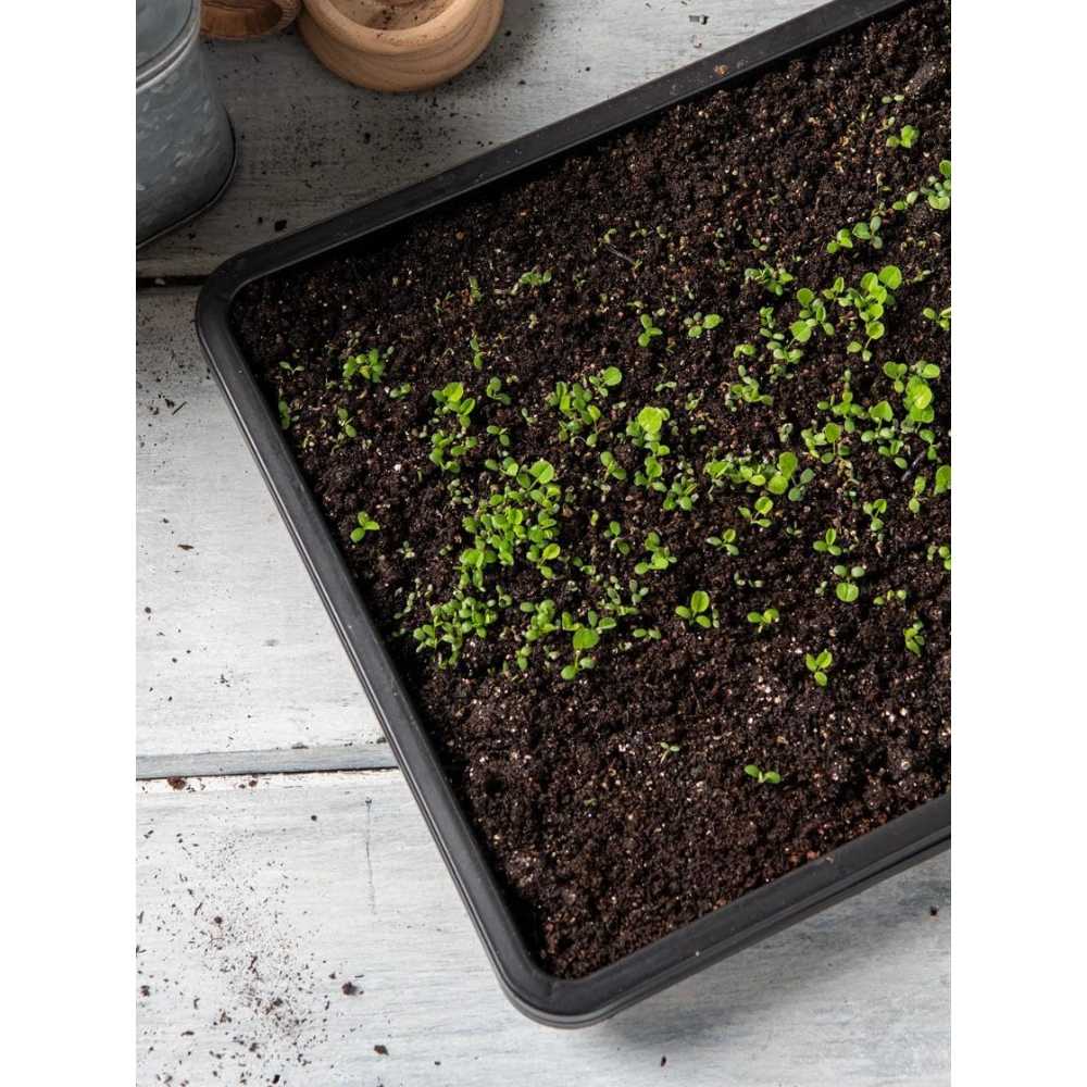 5-Pack Gardener's Supply Company Microgreens Growing Trays (22" x 11" x 1")