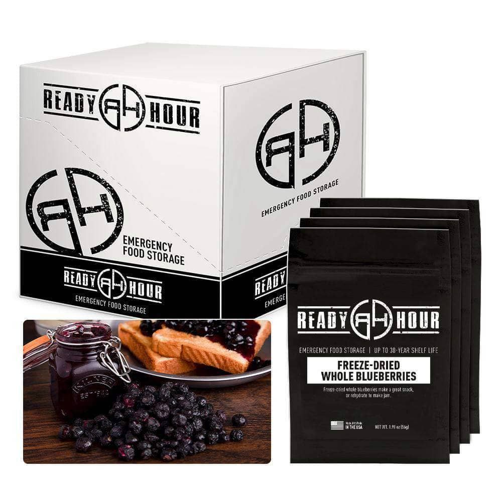 Today Only: Freeze-Dried Blueberries Case Pack (32 servings, 4 pk.)
