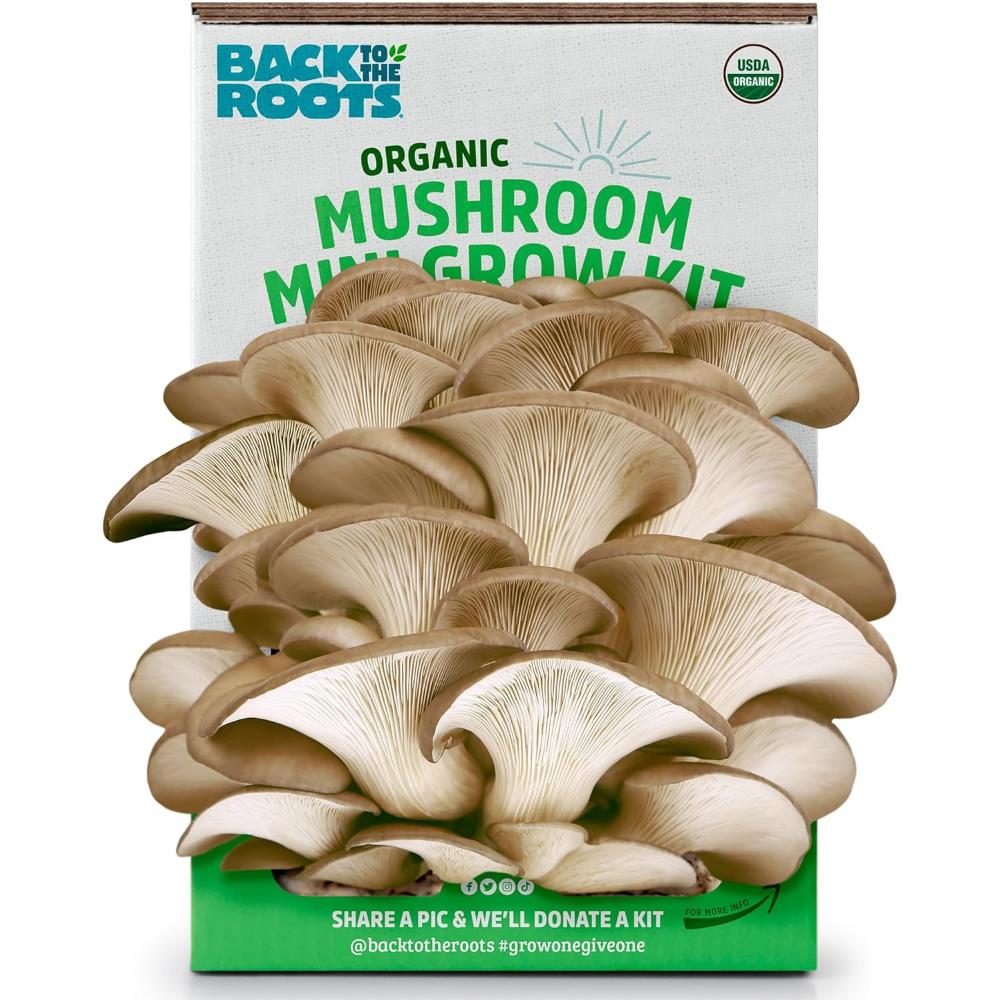 Back to the Roots Organic Mini Mushroom Grow Kit