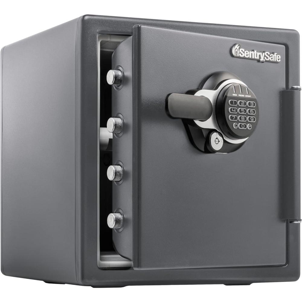 SentrySafe 2-Hour Fireproof and Waterproof Safe (1.23 cu. ft.)