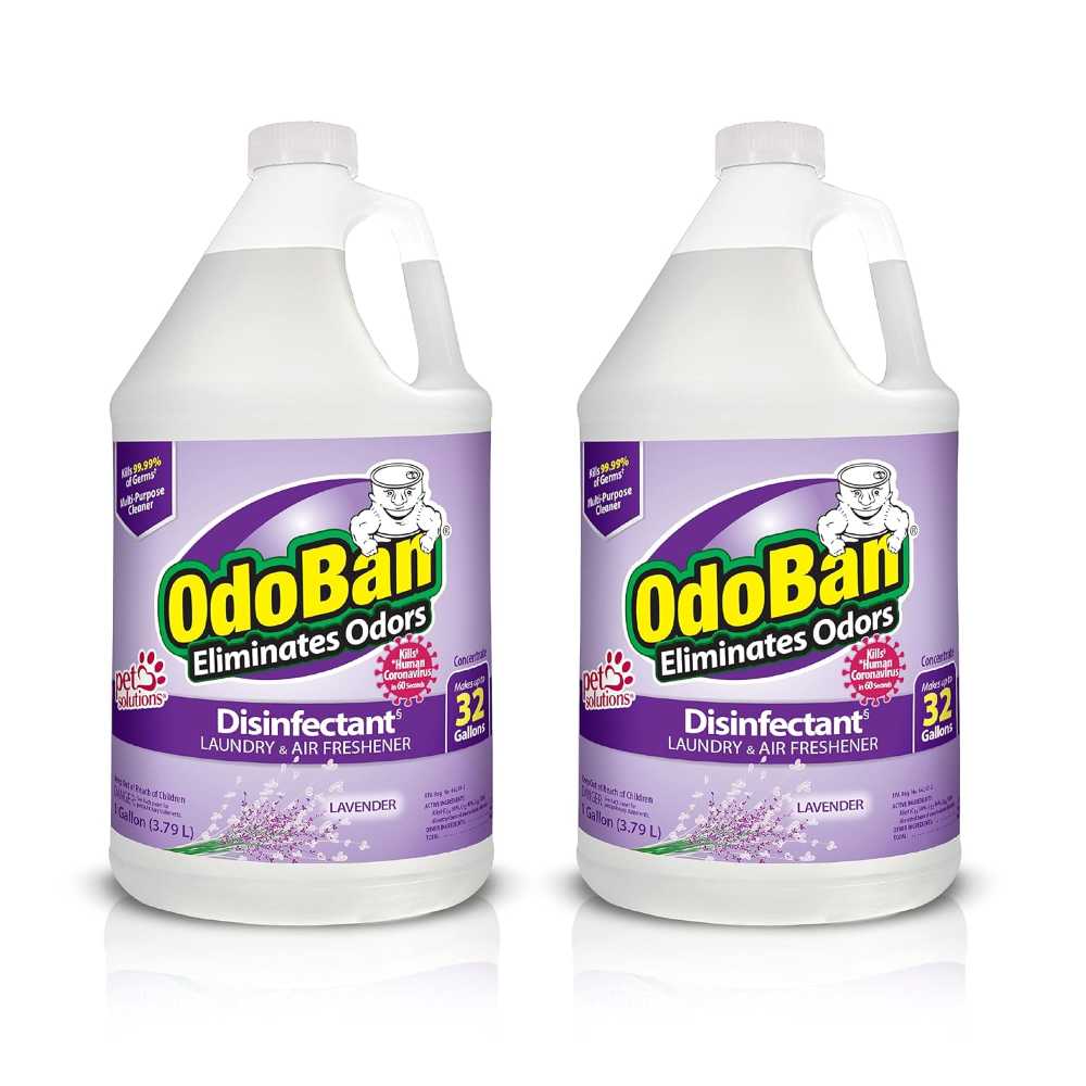 2-Pack OdoBan Disinfectant Concentrate & Odor Eliminator, 1 gal. (Lavender)