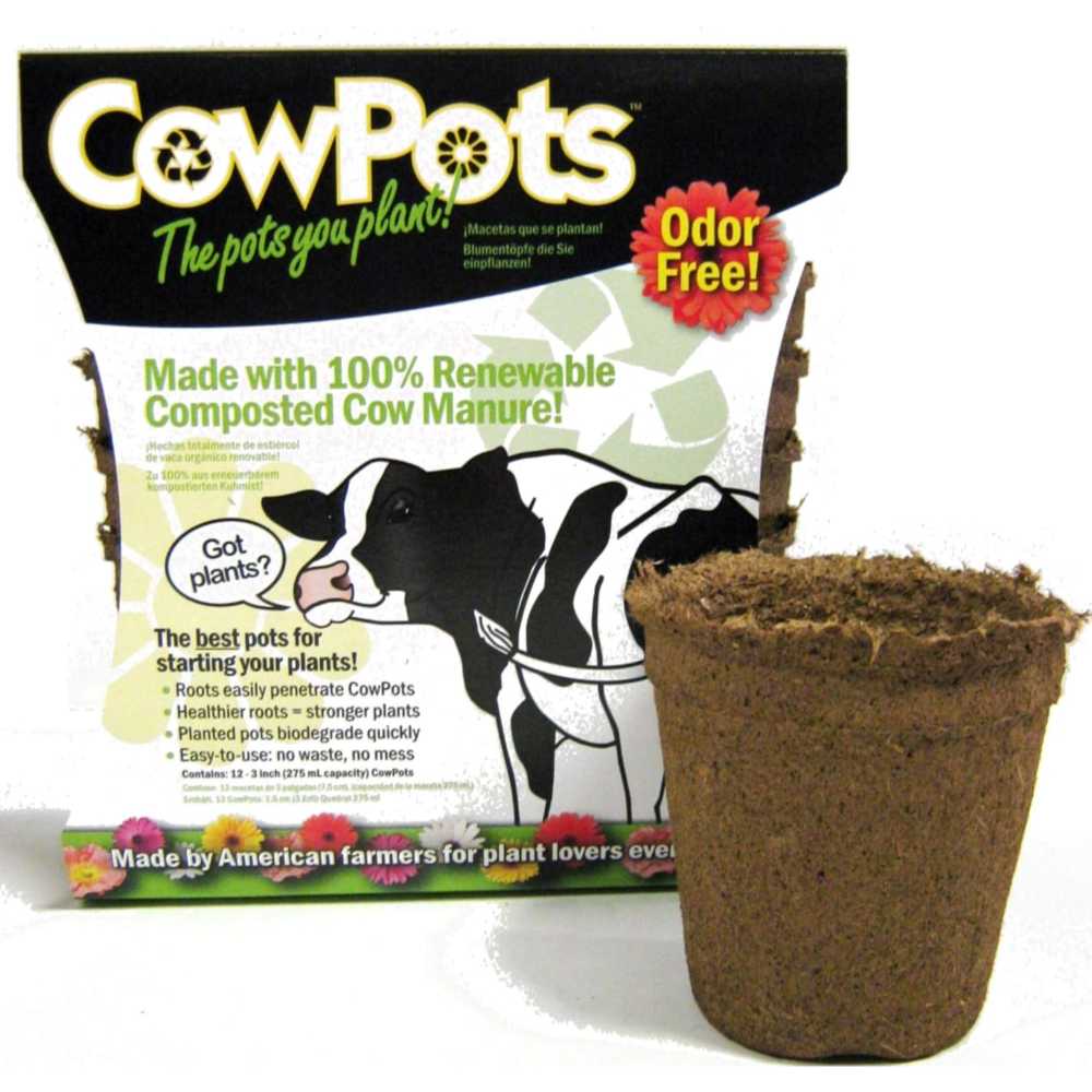 Prime: 12-Pack CowPots Biodegradable 3" Pots