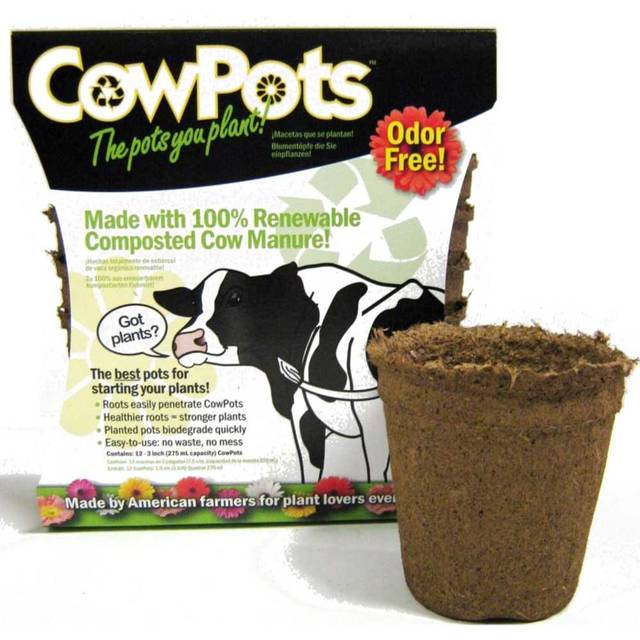 Prime: 12-Pack CowPots Biodegradable 3" Pots