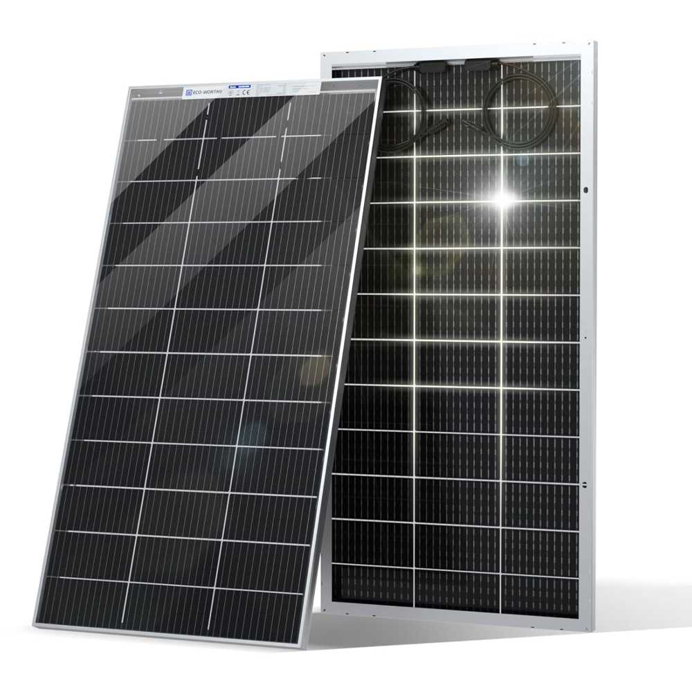 Eco-Worthy 195W Bifacial Mono Solar Panel