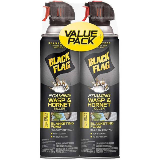 2-Pack Black Flag Foaming Wasp and Hornet Killer, 14 oz.