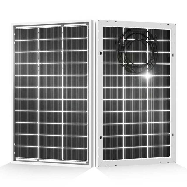 2-Pack Eco-Worthy 100W Bifacial Monocrystalline Solar Panel ($44.21/Each)