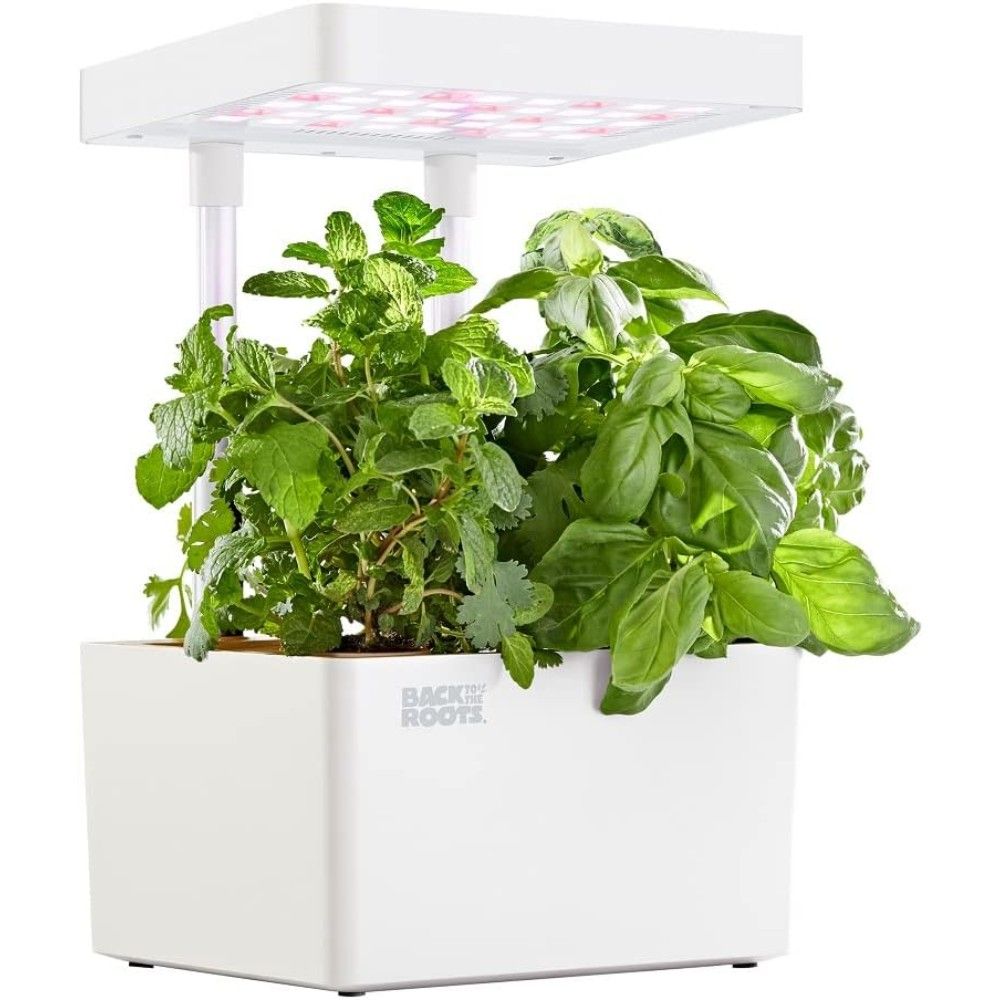 Back to the Roots 3-Pod Hydroponic Grow Kit w/ Organic Seeds