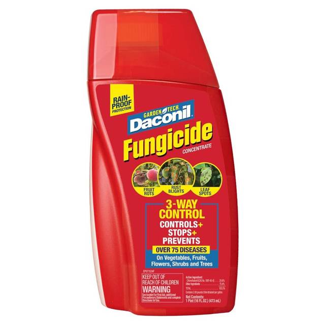 Daconil Fungicide Concentrate, 32 oz.