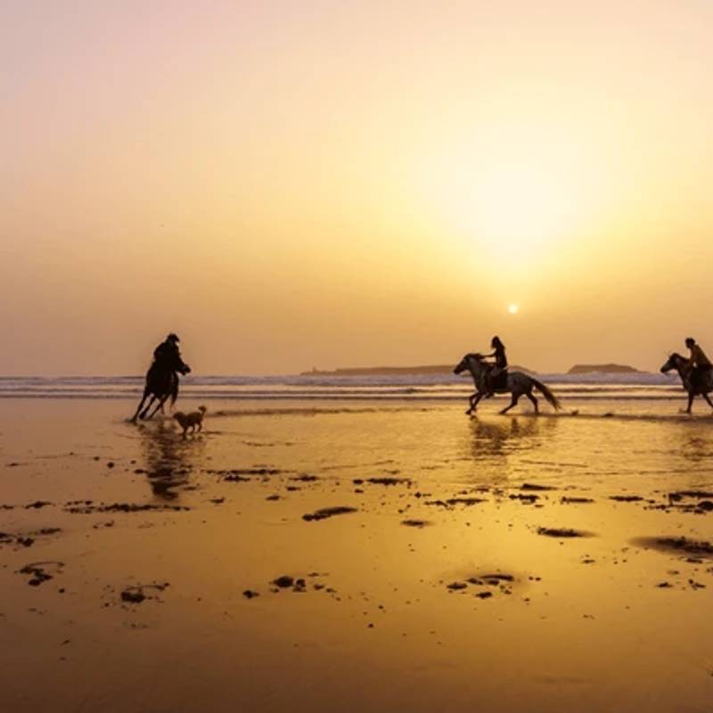 Horse Riding on the Beach gallery 2