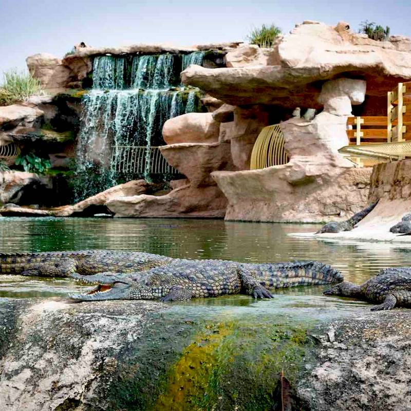 Crocoparc Agadir gallery 4