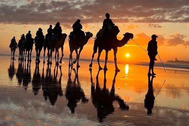 Camel Riding gallery 2