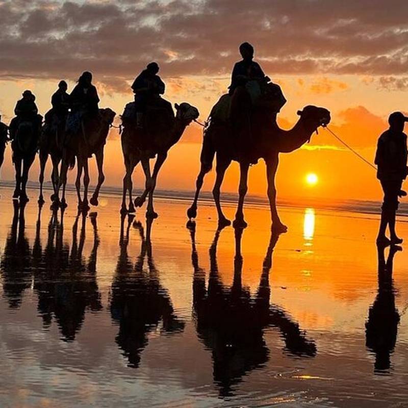 Camel Riding gallery 2
