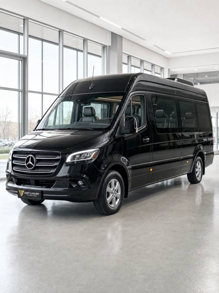 Mercedes Sprinter — Minibus with driver