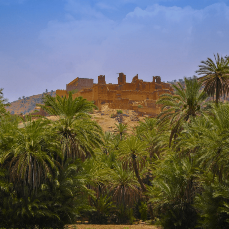 Taroudant & Tioute gallery 3