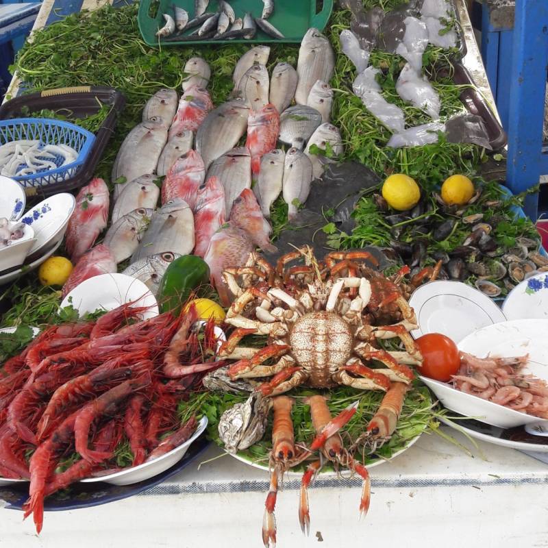 Agadir Boat Trip gallery 3