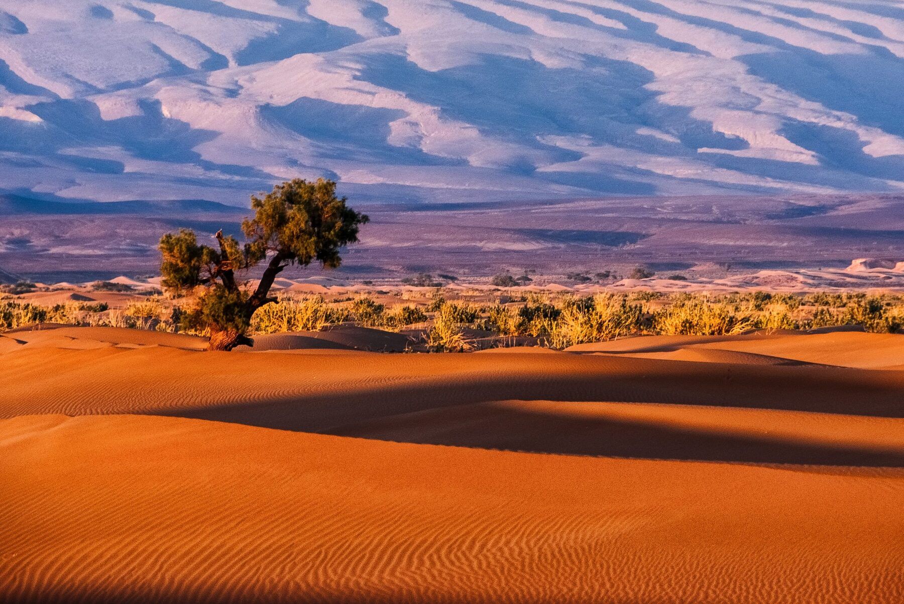 Safari Desert — Mini Sahara