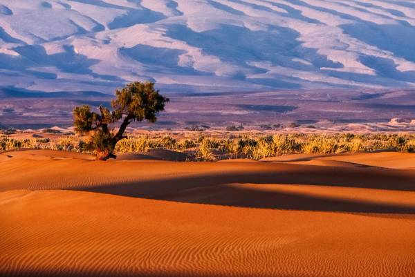 Top 10 Excursions From Agadir