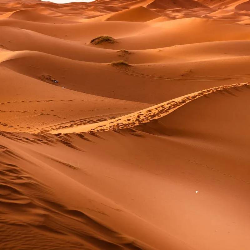 Safari Desert — Mini Sahara gallery 2