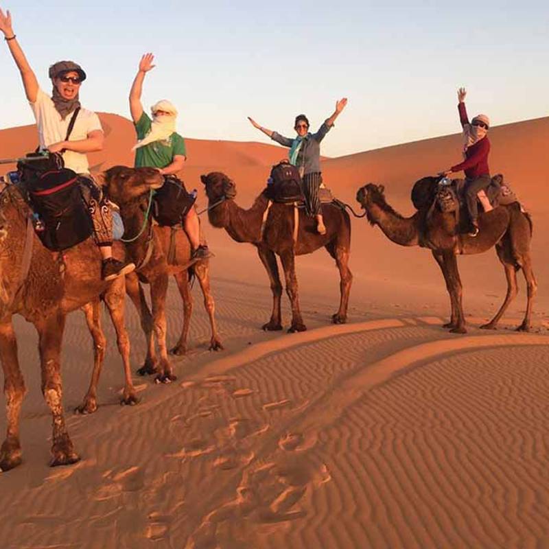 Safari Desert — Mini Sahara gallery 1